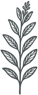 California Sage